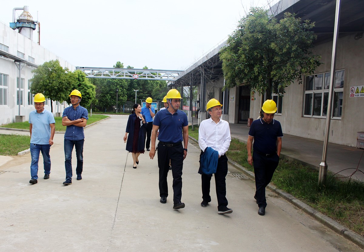 孙洪武副院长一行赴爱游戏aiyouxi(中国)公司督查指导安全生产工作
