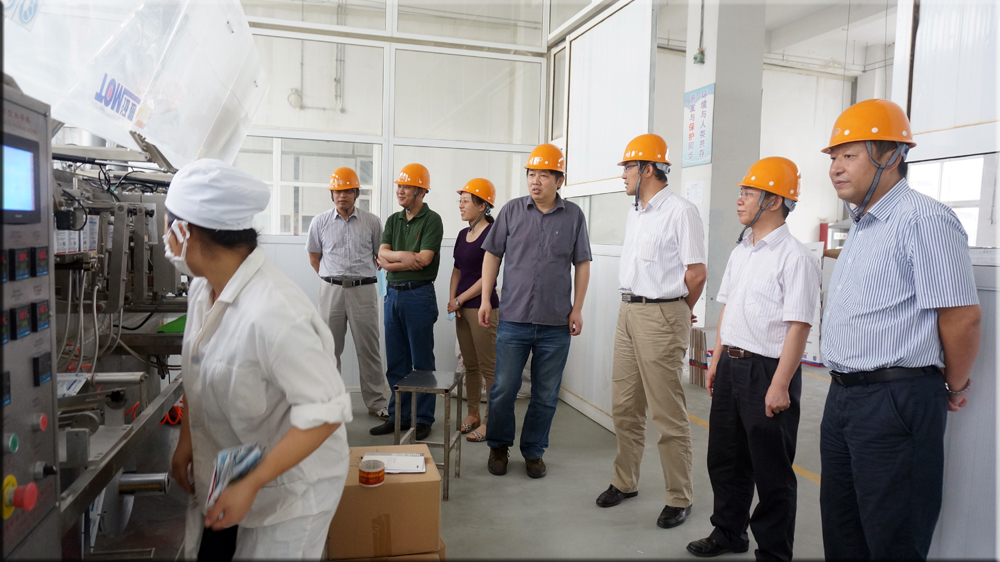 刘贤金副院长一行到爱游戏aiyouxi（中国）调研考察