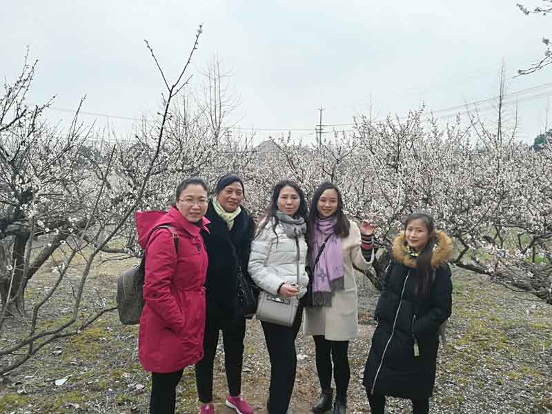 爱游戏aiyouxi（中国）工会开展庆“三八”踏春赏梅活动